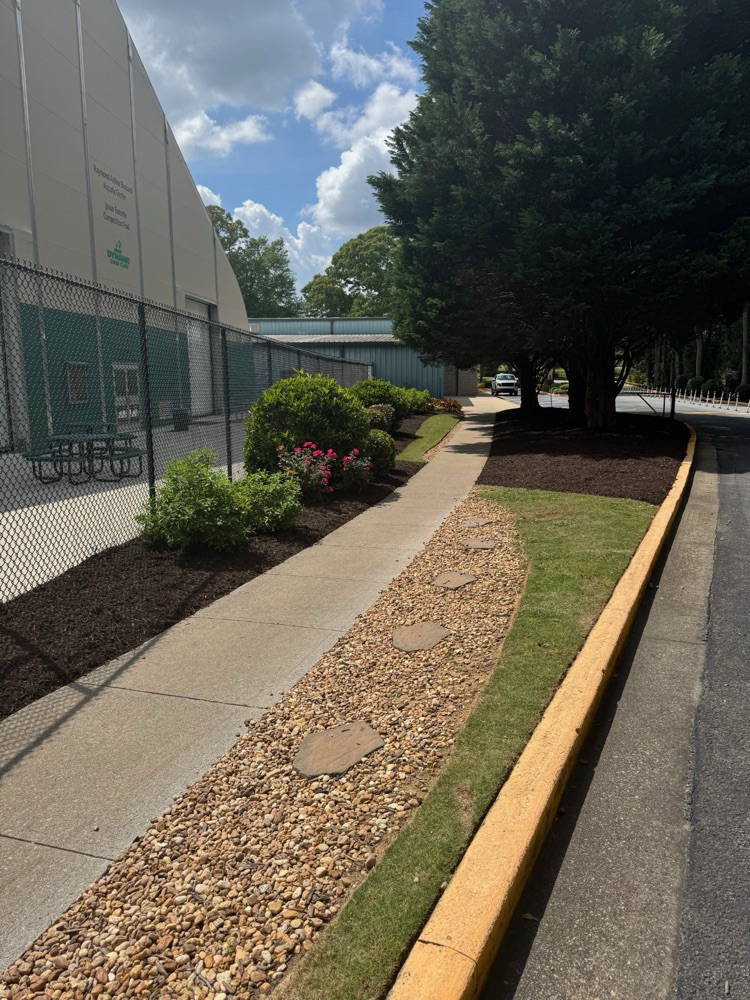 Manicured shrub border along a walkway